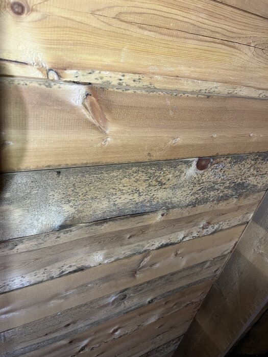 Svarta fläckar på trätak i vindsutrymme, möjligen mögel.