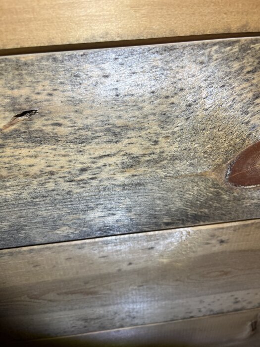 Svarta fläckar på träpanel i undertak, möjligtvis tecken på mögel, upptäckta på en vind med god ventilation.