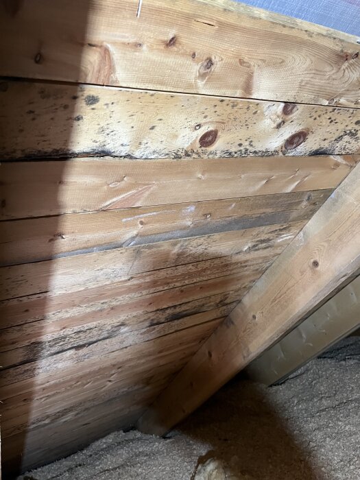 Svarta fläckar på träpanel under ett tak; misstänkt mögel på vinden.