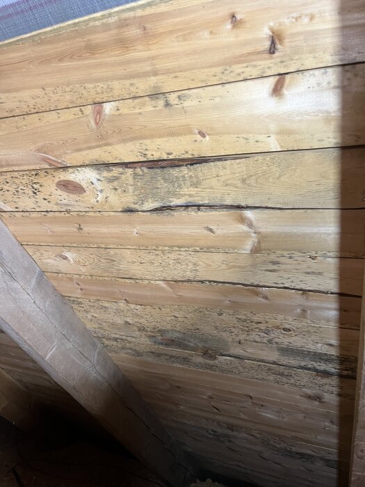 Bruna träpaneler med svarta fläckar misstänkta för mögel på en vind.