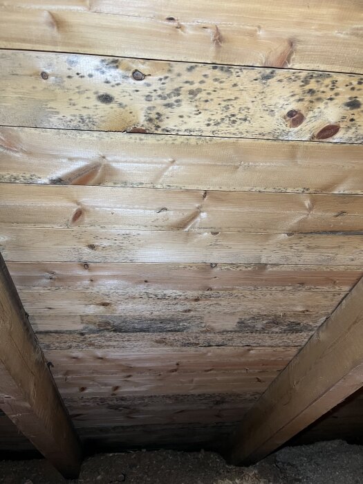 Svarta fläckar på undertak av trä, potentiellt mögel, i ett vindsutrymme.