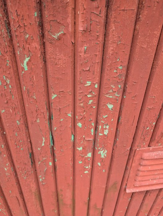 Krackelerad rödfärgad träpanel med synliga gröna ytor under den röda färgen på en stuga.