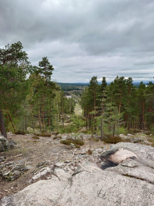 Skog med tallar och klippor, vy över landskap och en molnig himmel. En byggnad skymtar i fjärran.
