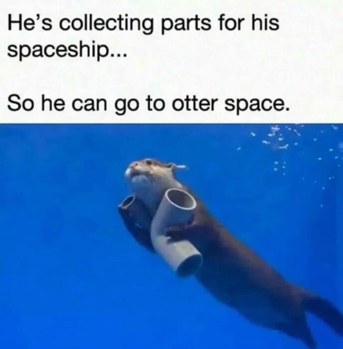 Utter simmar under vattnet och håller två rör, text om att bygga rymdskepp och gå till "otter space".
