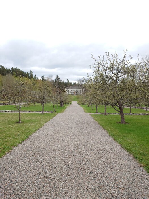 Grusstig leder genom en trädgård med fruktträd, slutar vid en vit herrgård i fjärran under en molnig himmel.