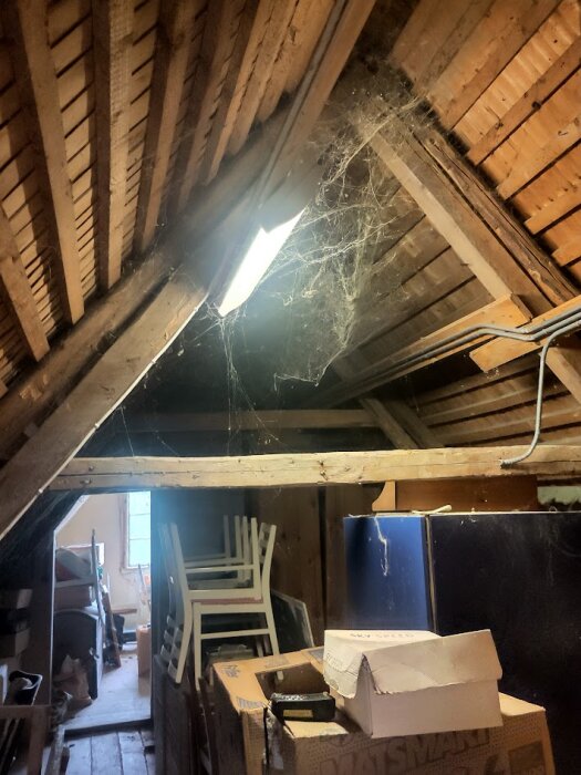 Vindsutrymme med synliga takbjälkar, takstolar och spindelväv. Stolar och lådor förvaras under ett takfönster som släpper in ljus.