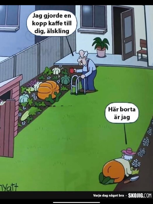 Seriefigur av en man som erbjuder kaffe till sin fru i trädgården, medan hon är kamouflerad i buskarna som en stor orange pumpa.