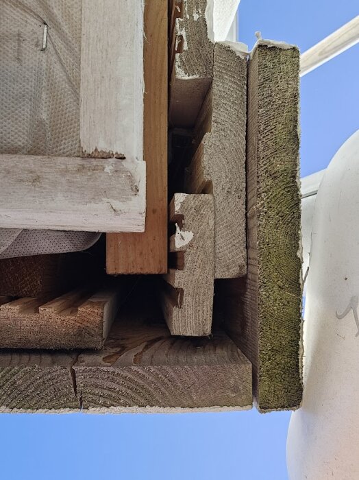 Ändträ på träfasad nära stuprör med gröna beläggningar på grund av vattenskvätt, soligt väder.