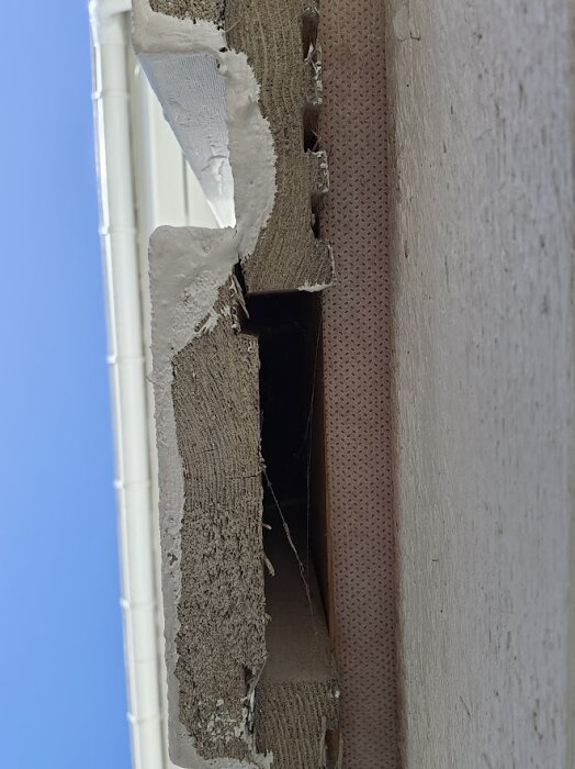 Ändträ på träfasad med skador och blottad yta, nära stuprör och lövsilar, synlig grön beläggning på grund av exponering för vatten.