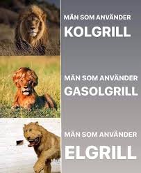 Lejonbilder bredvid text om män som använder olika grilltyper: kolgrill, gasolgrill och elgrill.