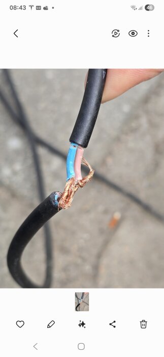 Svart kabel med blottade, virade trådar och synlig blå och brun isolering, där den blå har ett litet hål upptill.