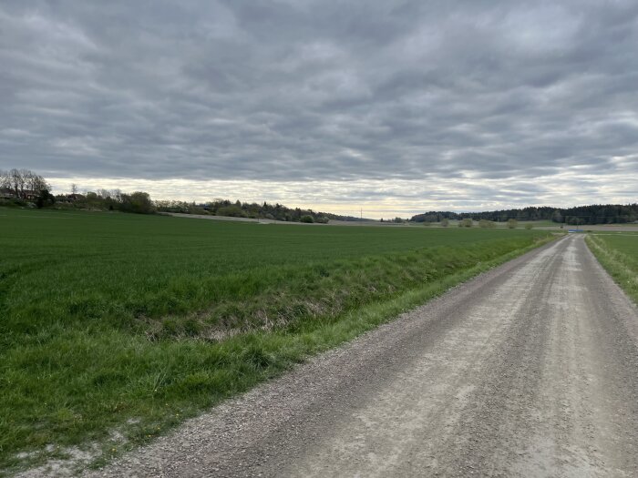 Grusväg som löper genom gröna fält under en molnig himmel. Skog syns i horisonten tillsammans med några byggnader.