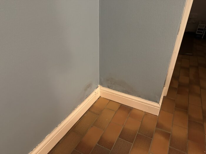 Hörn av källarvägg med blå vävtapet och svarta fläckar nära golvsockeln. Golvet har bruna klinkerplattor.