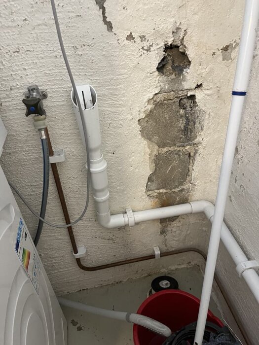 Rörsystem och vägg med mögelskador i tvättstuga, tvättmaskin och hink syns.