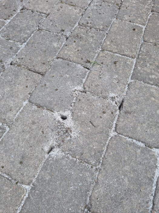 Hål i stenläggningen fyllda med sand där vissa hål har återkommit, omgiven av oregelbundna stenar på en uteplats eller uppfart.