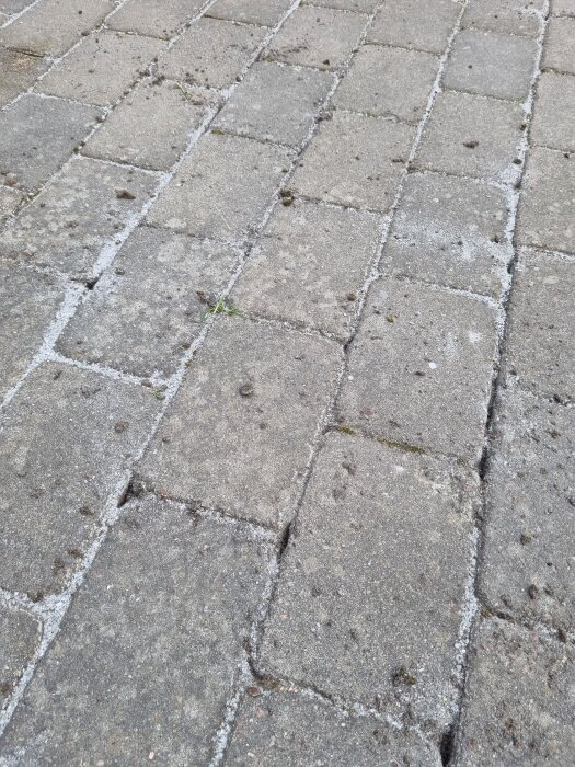 Kullerstensyta med hål mellan stenarna och synliga spår av sand som har tappats bort, förmodligen fyllning som har lossnat.