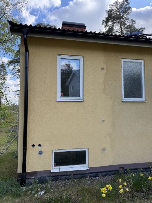 Gul putsad fasad på hus från 1947 med märken runt fönstren där akrylatfärg använts, omgiven av grönska och blommor.