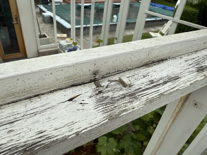 Vitt trä i växthus med sprucket fönsterbräde och smuts, en nedspikad plastbit syns. Växthusets fönsterkarmar bakom med grönska nedanför.