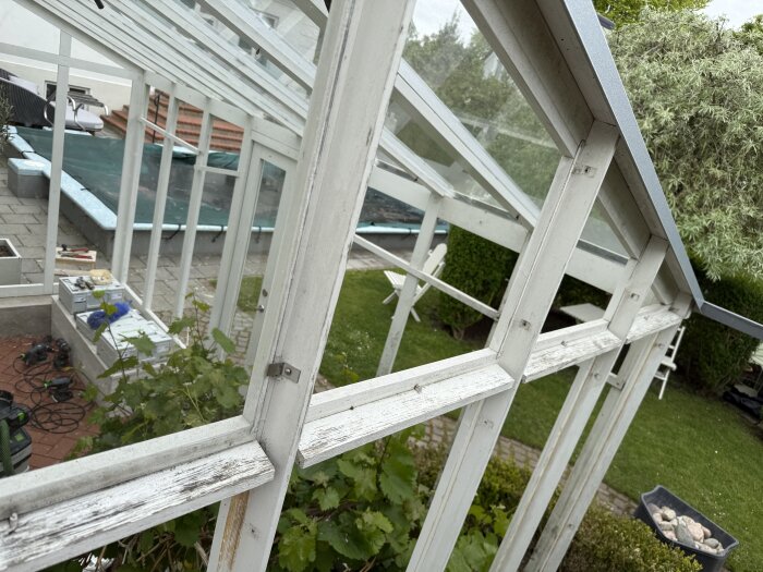 Renovering av växthus med vita träkonstruktioner och glaspartier, synliga verktyg och utrustning på marken, omgiven av gräs och träd.