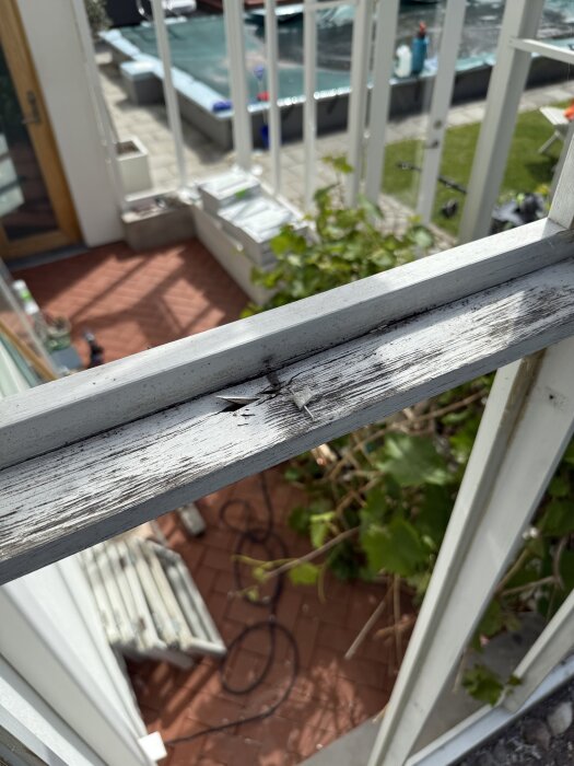 Sliten växthuskarm med spikhål där vatten trängt in, omgiven av gröna växter och röd tegelsten i bakgrunden.