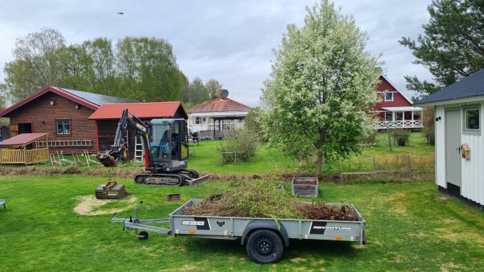 Grävare på gräsmatta framför hus, arbetande med att ta bort häck och matjord. I förgrunden en släpvagn fylld med grenar.