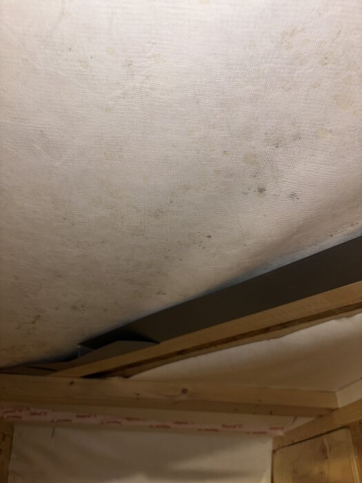 Närbild av ett innertak med träbalkar och en vit isoleringsmatta med fläckar.