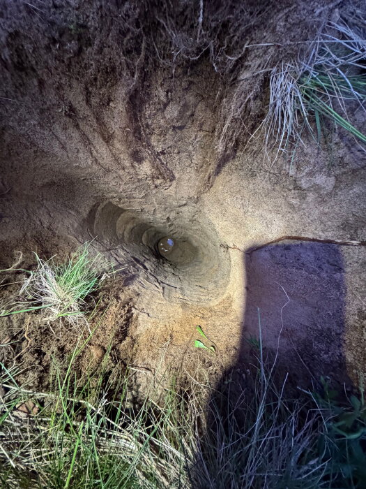 Hål i marken med sandiga kanter, grästuvor runt om och ett synligt område där jorden rasar. Röd markering anger stenar vid 180 cm djup.