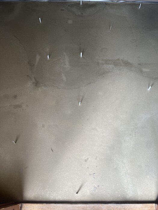 Flytspacklad hall med flera stickprover som sticker upp från ytan, en dag efter applicering, ser fuktig och ojämnt härdad ut.