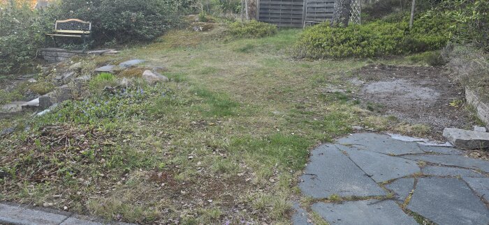 Ogräsbevuxen trädgård med grus, mossig mark och ojämna stenplattor, omgärdad av grönska.