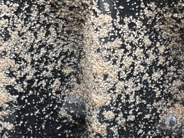 Mängder av små, vita äggliknande strukturer på ett mörkt underlag, troligen inuti en kompost.