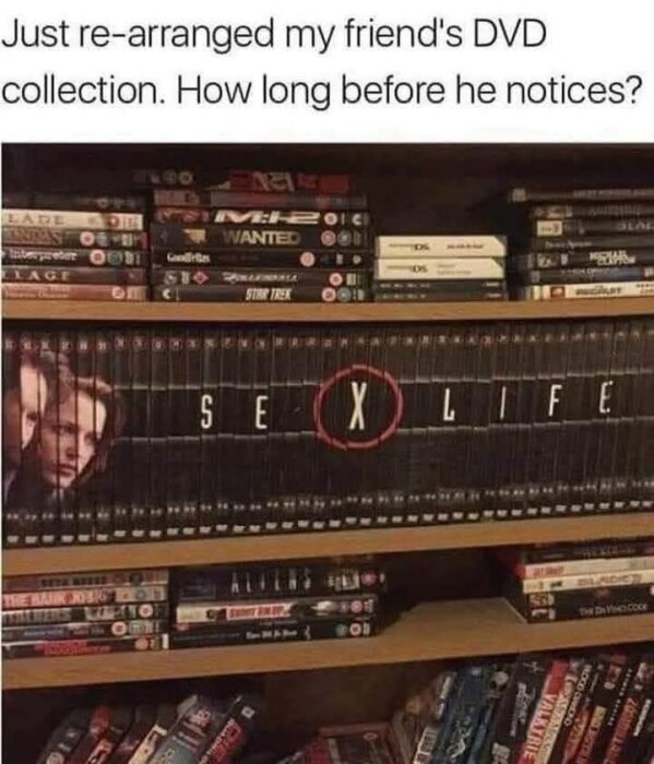 Omarbetad DVD-samling där ryggarna stavar "SEX LIFE" med "X" tydligt markerad.