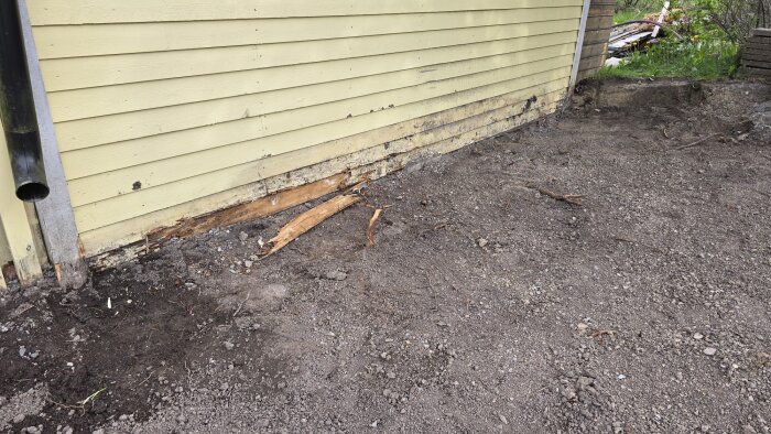 Ruttna träpaneler på friggebodens fasad, delvis ersatta regel längst ner; omgivande jordutgrävning synlig, stuprör till vänster.