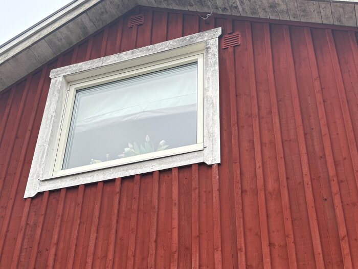 Fasad av röd träpanel med vitt fönster och vita knutar, från ett 1,5-planshus.