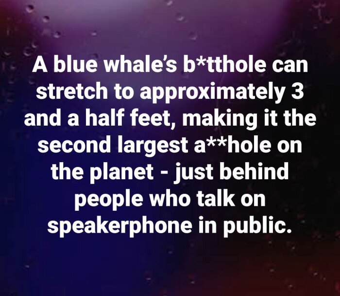 Anekdotisk text med humor om blåvalens anatomi kontra beteende hos högljudda personer, på bakgrund med droppar.