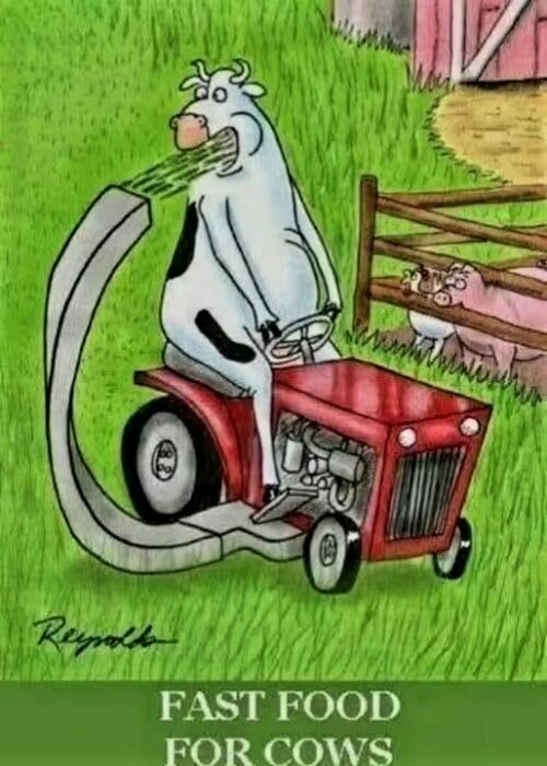 Tecknad ko kör traktor med fastfood-matare i hagen, text "Fast Food for Cows".
