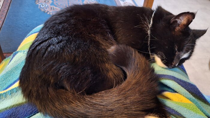 Svartvit katt sover på en färgglad filt.