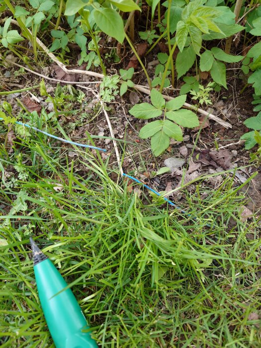 Brutet blått snöre liggandes i gräs och löv, omgiven av gröna växter. En grön pinne ligger bredvid snöret.