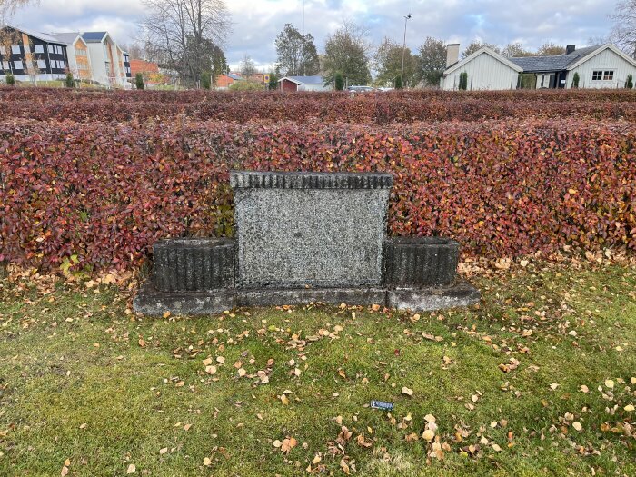 Gravsten omgiven av röda buskar och grönt gräs, med höstlöv på marken.