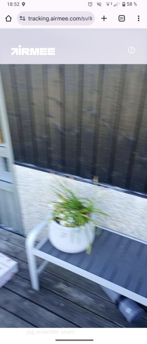 En cementkruka med grön växt står på en mörkgrå bänk framför en vägg av bruna plankor.