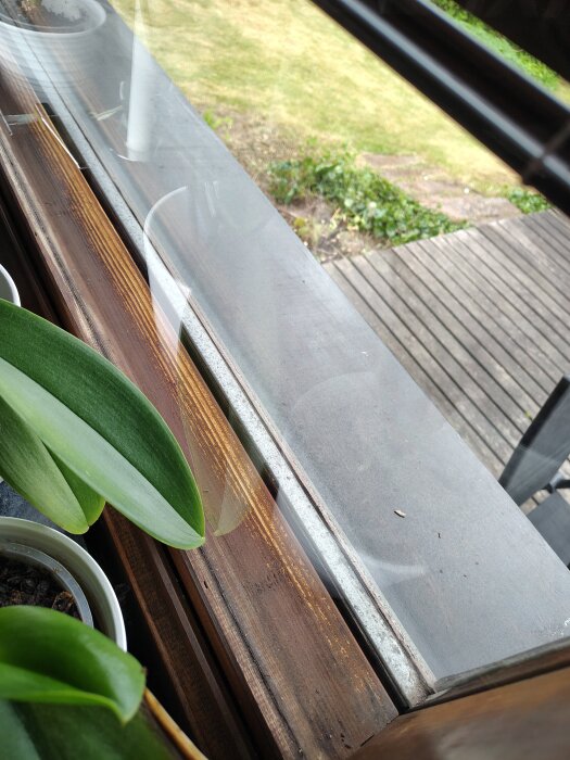 Utsikt genom ett fönster med träkarm, glaskant och krukväxter i förgrunden; utomhus syns en träaltan och grön gräsmatta.