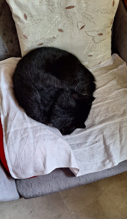 Svart katt sover ihopkurad på en grå fåtölj med en vit kudde i bakgrunden.
