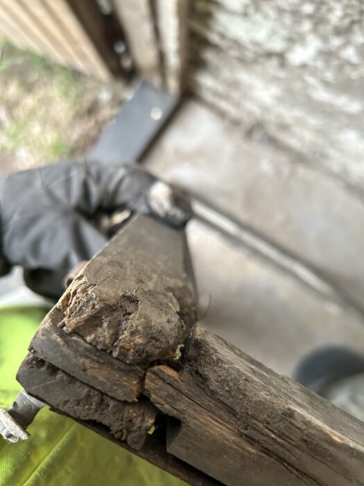 Skadad fönsterbåge med sprucket, slitet trä hålls av en hand i handske.