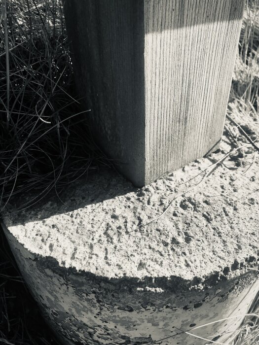 Impregnerad trästolpe gjuten i betongfundament med omgivande torrt gräs.