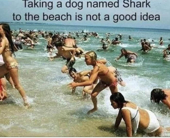 Folk springer skräckslagna från havet på en strand. Textraden "Taking a dog named Shark to the beach is not a good idea" syns överst.