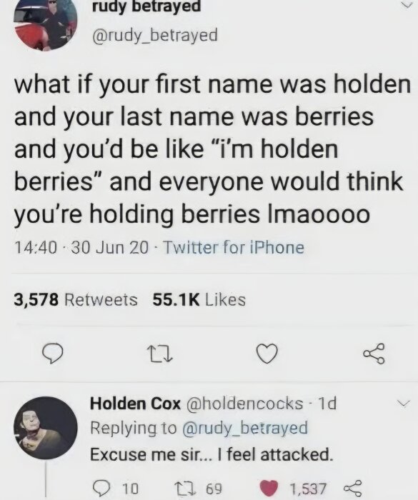 En skärmdump av ett Twitter-svar där någon skämtar om namnen "Holden Berries" och en användare svarar att de känner sig attackerade.