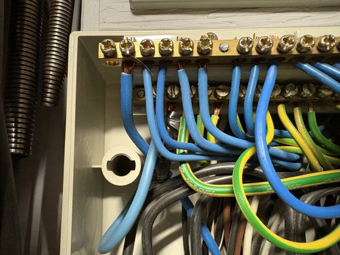 Bild på en elcentral med blå, gröna och gula kablar anslutna till plintar, avsedd för inkoppling av elkomponenter.