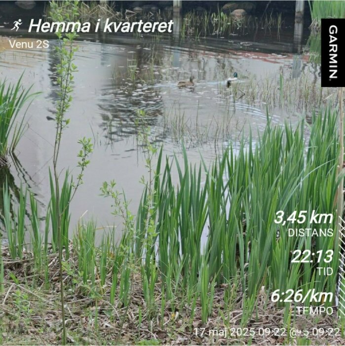 En damm med gräs och buskar runt om, en del av en Garmin-träningsskärm med distans och tempo.