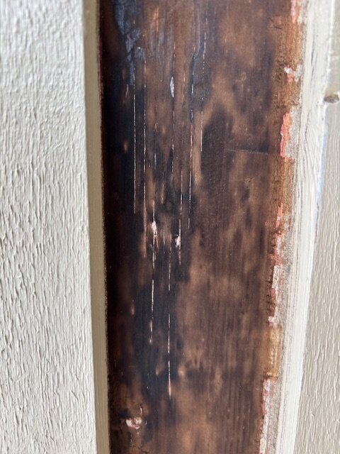 Svartmögel och skrapad färg på plywoodvägg under fasadfärg i uteförråd.