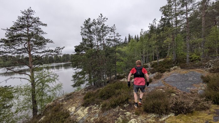 Person springer genom skog längs en sjö på en stenig stig omgiven av träd och buskar under en mulen dag.