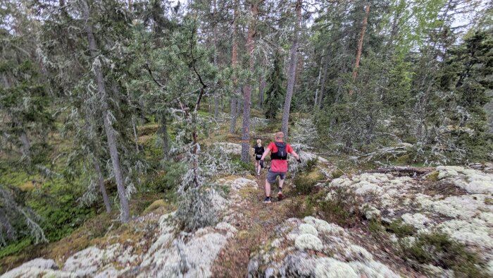 Två personer springer på en skogsstig omgivna av träd och lavtäckt mark i en grönskogsmiljö.